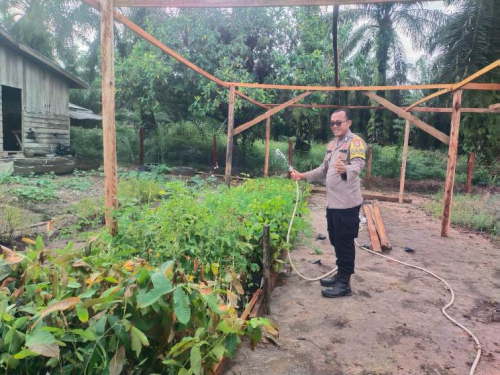 Polsek Pangean Inisiasi Bank Pohon, Dorong Aksi Hijau Lewat Program Green Policing